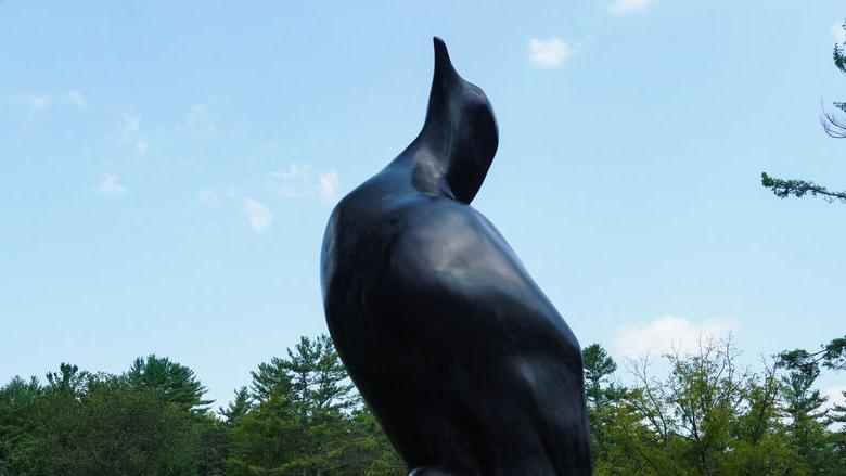 旅鸽雕像